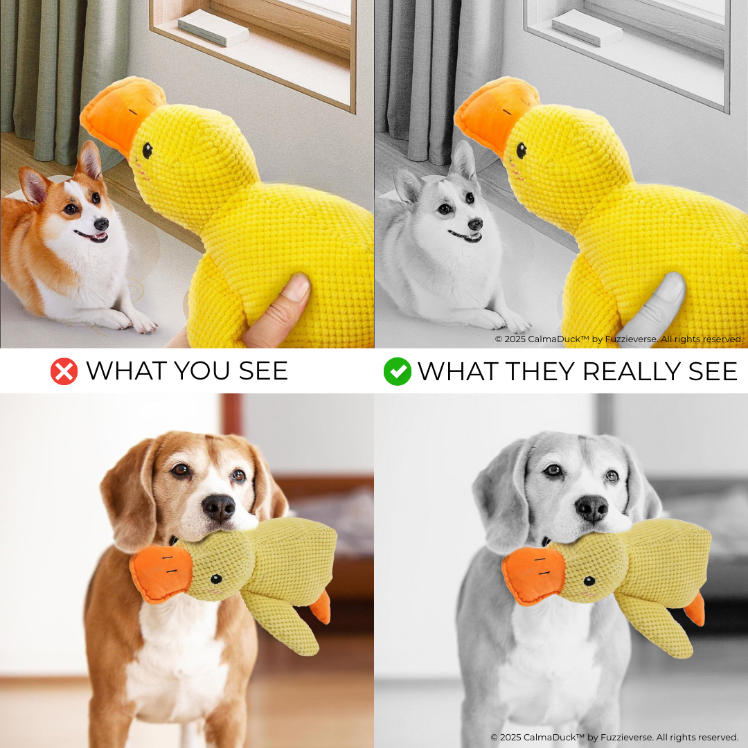 CalmaDuck™