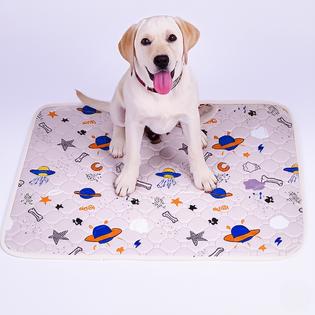 EverPad™ - Premium Washable Potty Pad✨