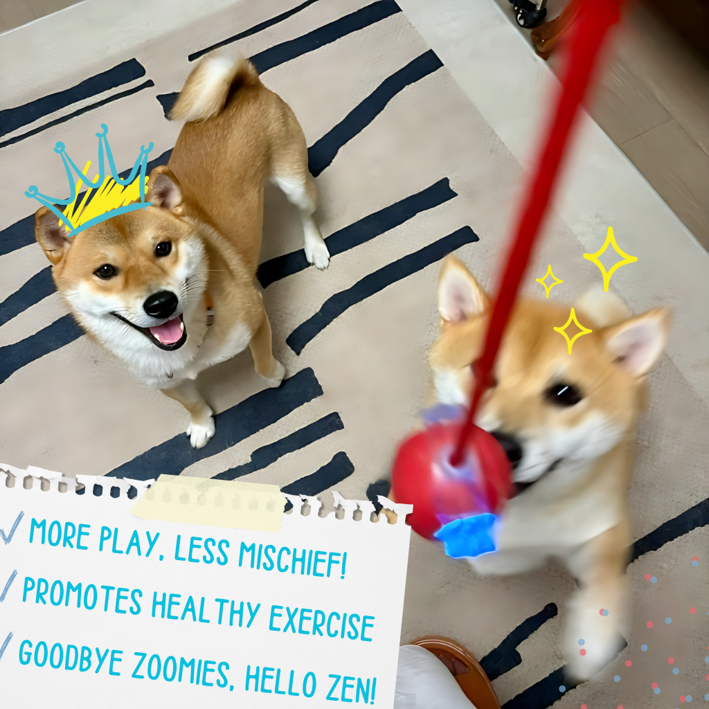 FetchiWalker™ (Copy)