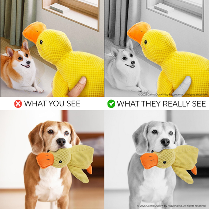 CalmaDuck™