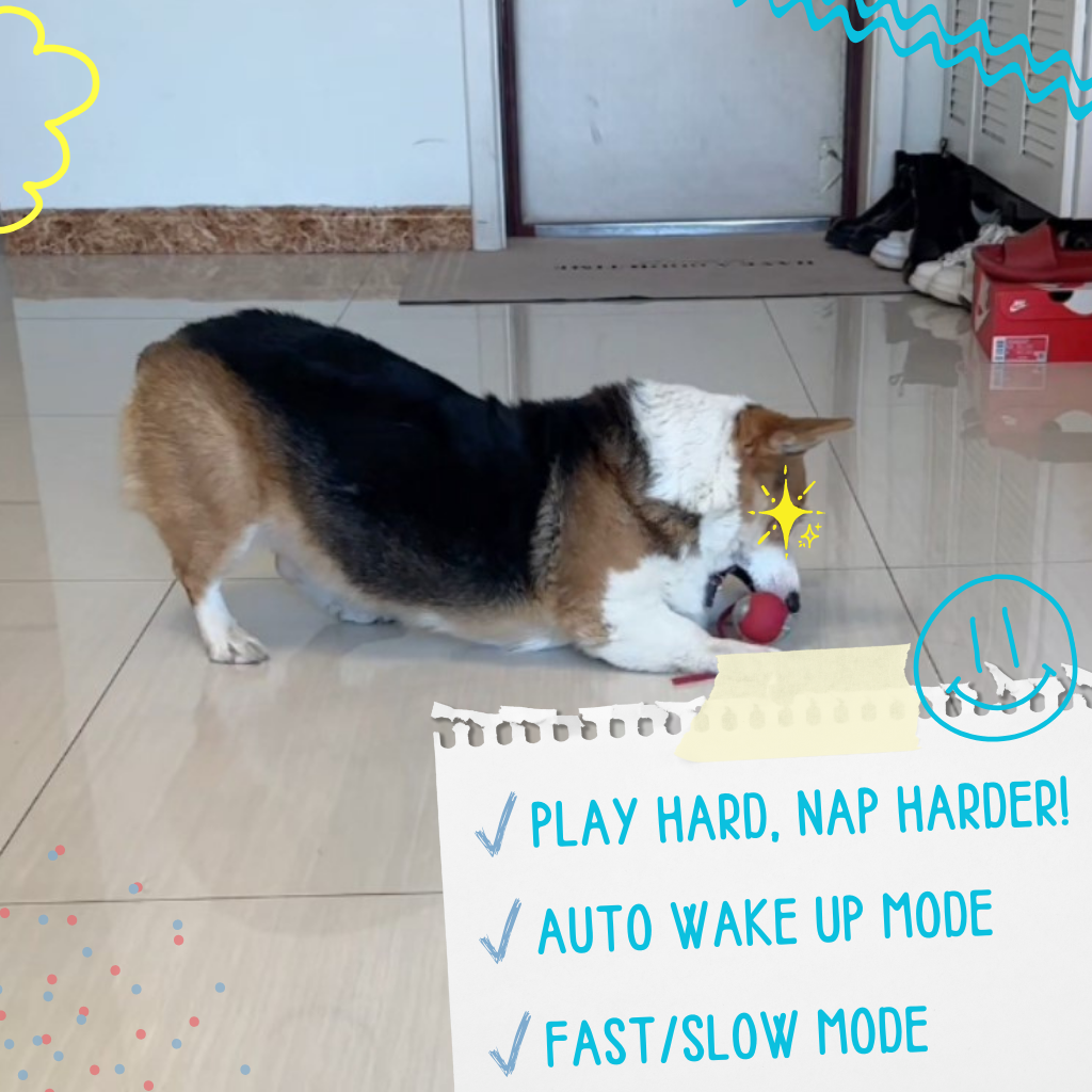FetchiWalker™ (Copy)