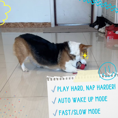 FetchiWalker™ (Copy)