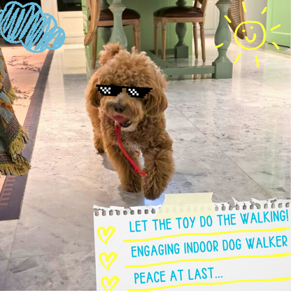 FetchiWalker™ (Copy)