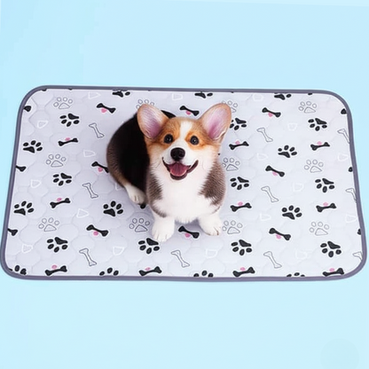 EverPad™ - Premium Washable Potty Pad✨