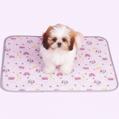 EverPad™ - Premium Washable Potty Pad✨