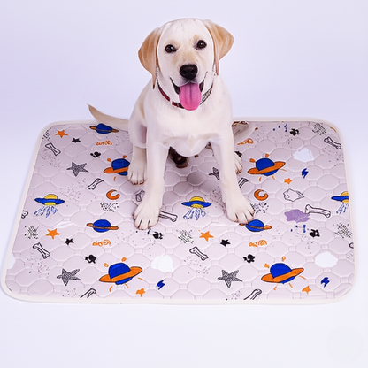 EverPad™ - Premium Washable Potty Pad✨