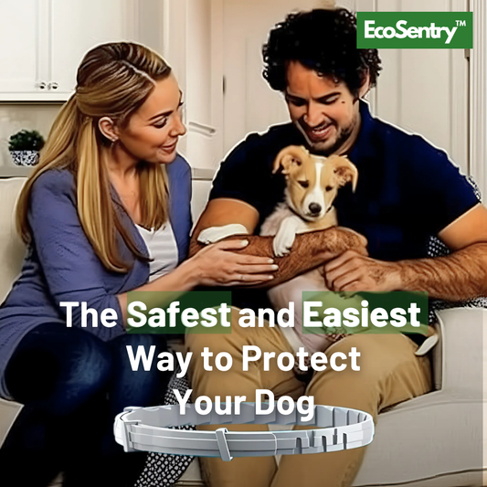 EcoSentry™ - Guard Your Faithful Companion 100% Naturally.