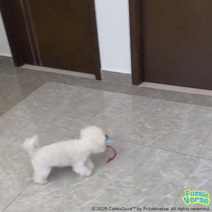 FetchiWalker™ (Copy)